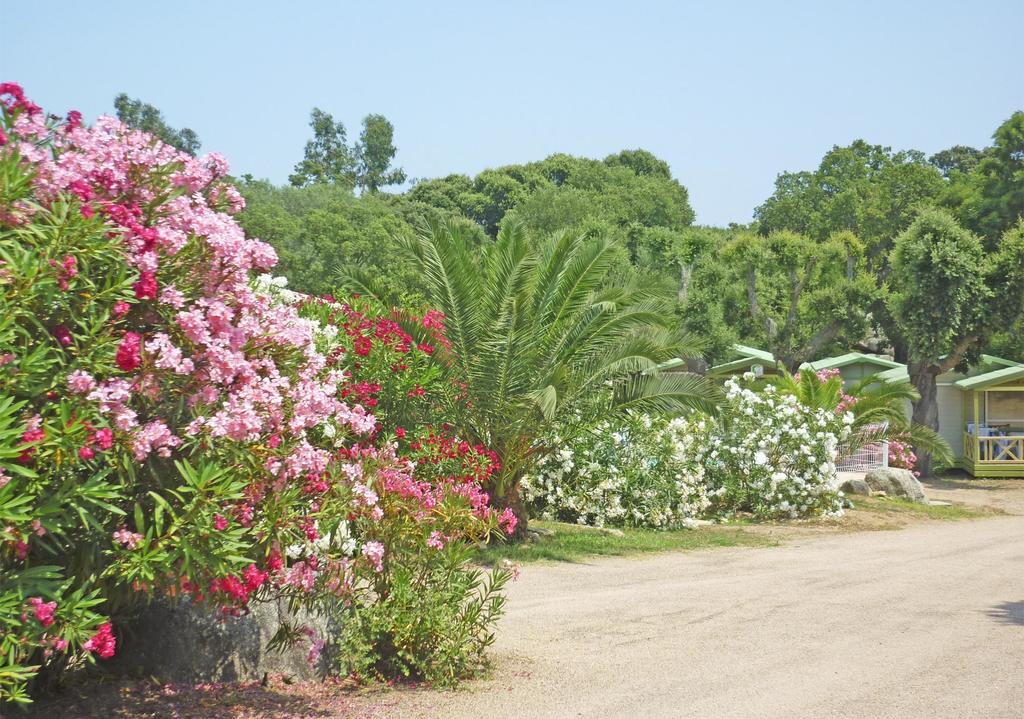 Camping Pezza Cardo ปอร์โต-เวคคีโอ ภายนอก รูปภาพ